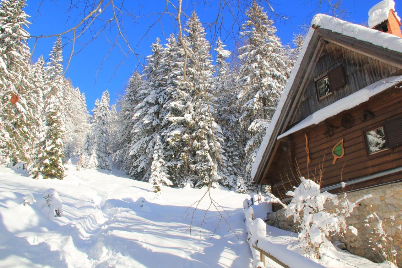 B&B Pod Skalo Kamnik Extérieur photo